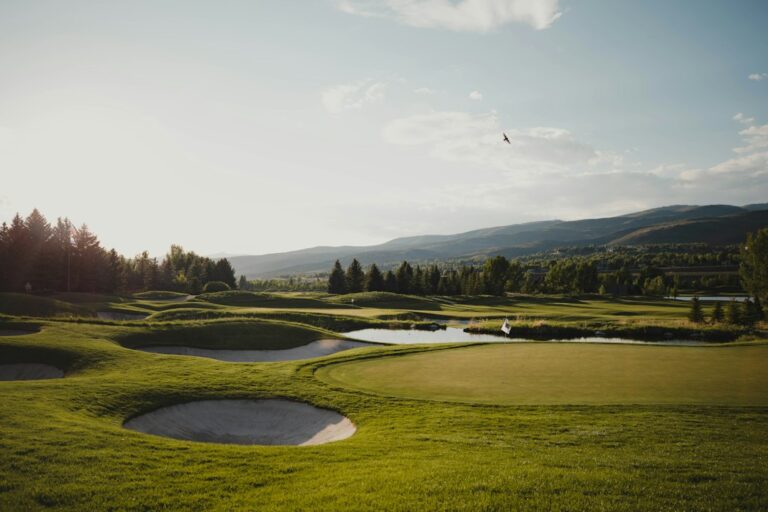 Fairway illustrating golf ball flight